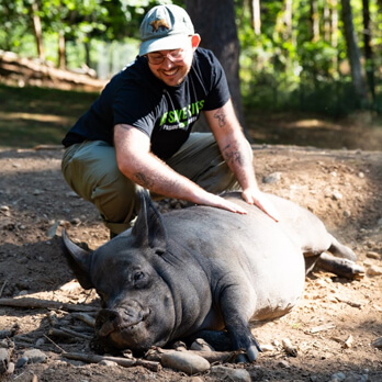A person squats and smiles while gently petting a large pig lying on its side outdoors in a sunlit, wooded area, showing one of the many Ways to Give back to animals in need.